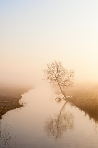 Vista panorámica del lago contra el cielo durante el tiempo de niebla