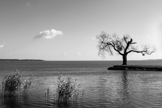 Vista panorámica del lago contra el cielo