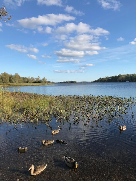 Foto vista panorámica del lago contra el cielo