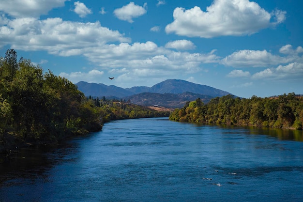 Foto vista panorámica del lago en medio de los árboles contra el cielo