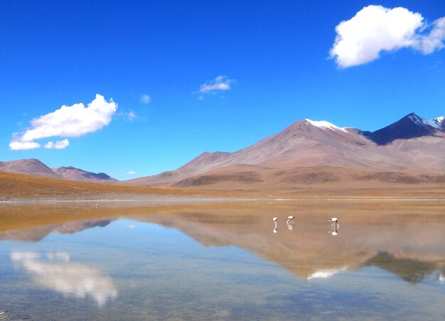 Foto vista panorámica del lago y las montañas contra el cielo azul