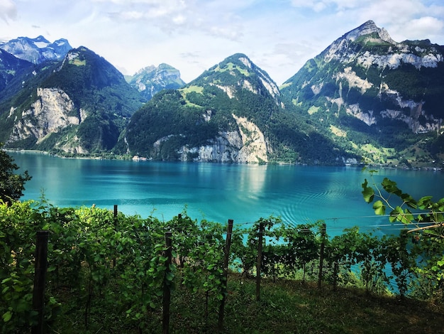 Vista panorámica del lago y las montañas contra el cielo