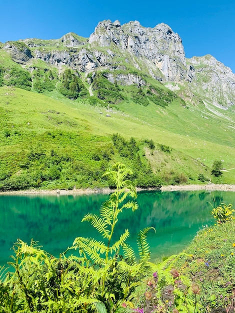 Vista panorámica del lago y las montañas