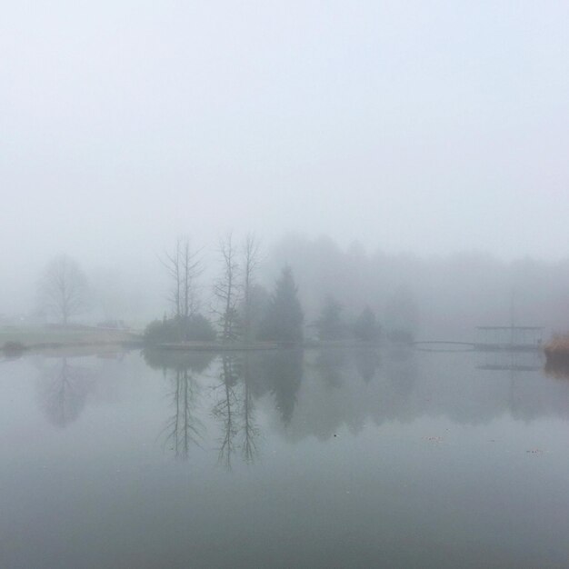 Vista panorámica del lago durante el tiempo de niebla