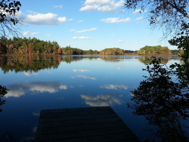 Foto vista panorámica de un lago tranquilo y árboles contra el cielo