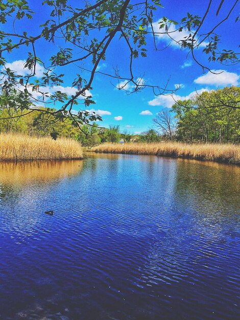 Foto vista panorámica del lago tranquilo contra el cielo