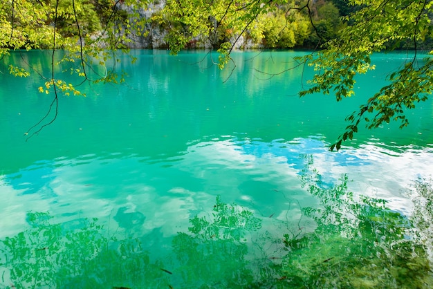 Vista panorámica del lago