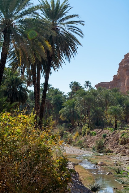 Foto vista panorámica desde m'chouneche, biskra