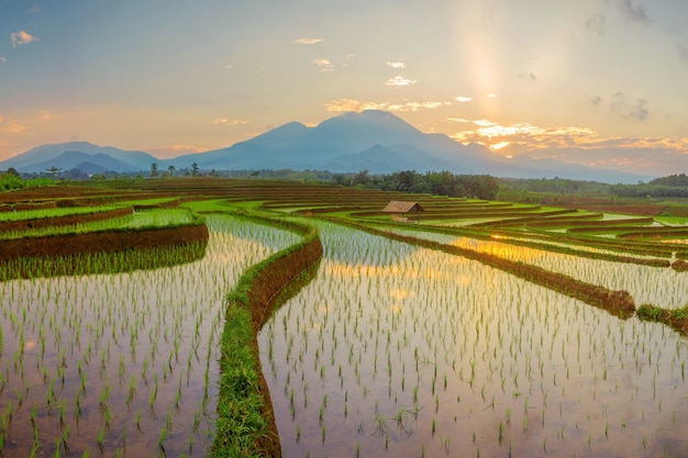 Vista panorámica de la mañana con hermosos campos de arroz que reflejan el cielo y el sol de la mañana entre las montañas