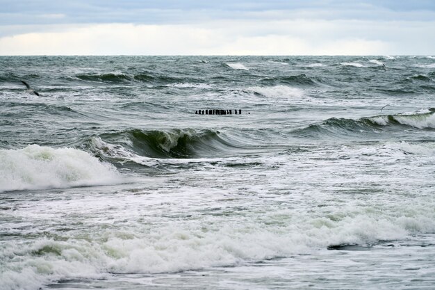 Vista panorámica del mar azul con olas burbujeantes y espumosas. Rompeolas de madera largos vintage que se extienden hasta el mar, paisaje invernal del Mar Báltico. Silencio, soledad, calma y paz.