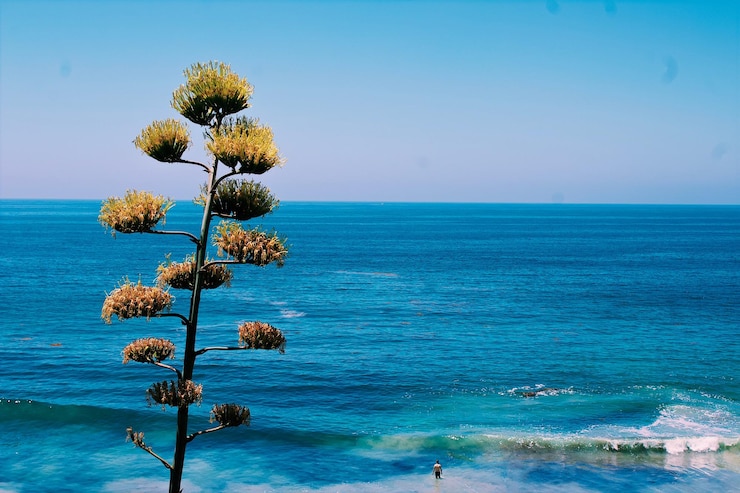 Foto vista panorámica del mar contra el cielo azul claro