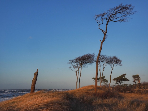 Foto vista panorámica del mar contra el cielo azul claro