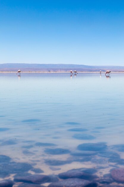 Vista panorámica del mar contra el cielo azul