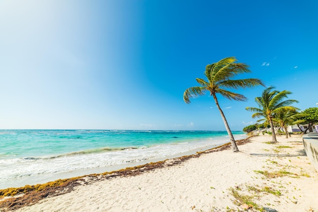 Foto vista panorámica del mar contra el cielo azul