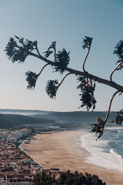 Foto vista panorámica del mar contra el cielo despejado