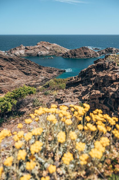 Foto vista panorámica del mar contra el cielo despejado