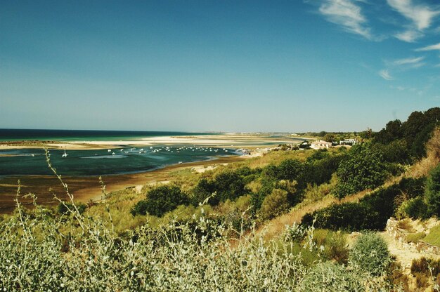 Foto vista panorámica del mar contra el cielo despejado