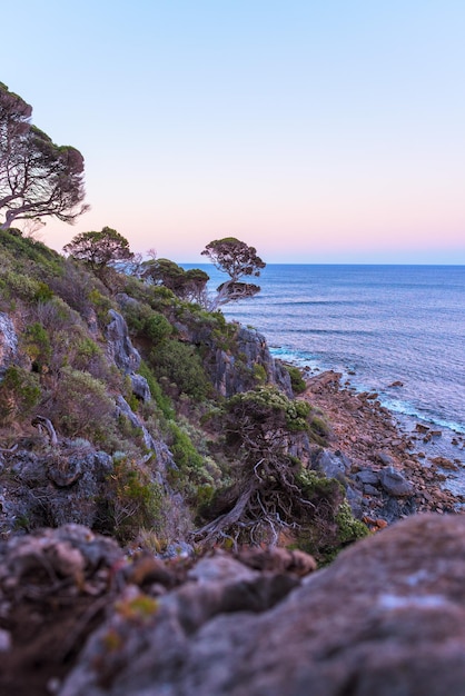 Foto vista panorámica del mar contra el cielo despejado