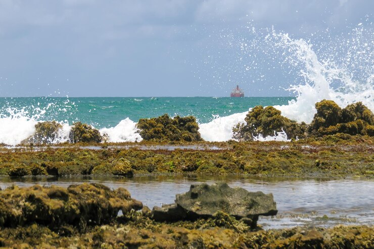 Foto vista panorámica del mar contra el cielo nublado