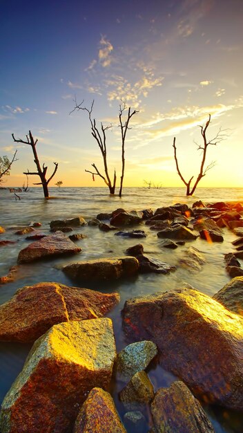 Foto vista panorámica del mar contra el cielo durante la puesta de sol