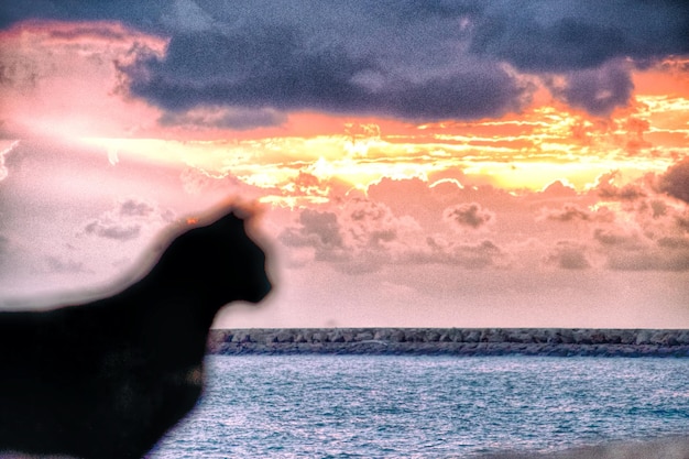 Foto vista panorámica del mar contra el cielo durante la puesta de sol