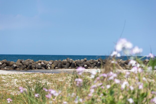 Vista panorámica del mar contra el cielo