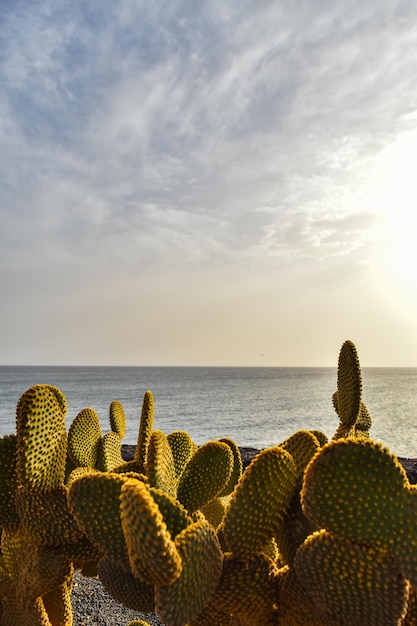 Foto vista panorámica del mar contra el cielo