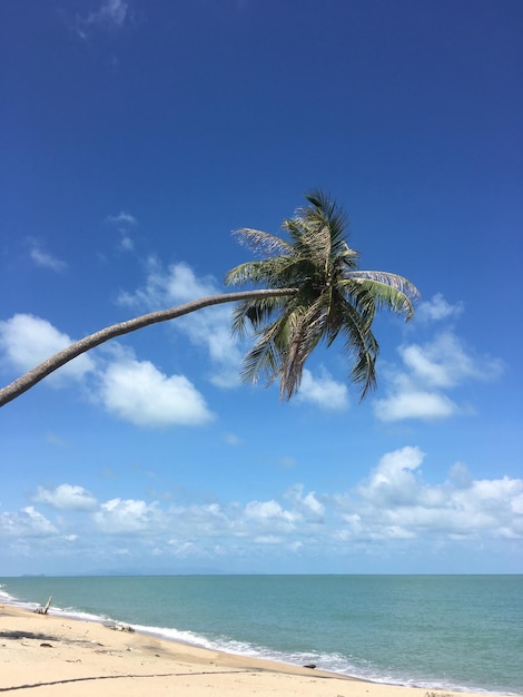 Foto vista panorámica del mar contra el cielo