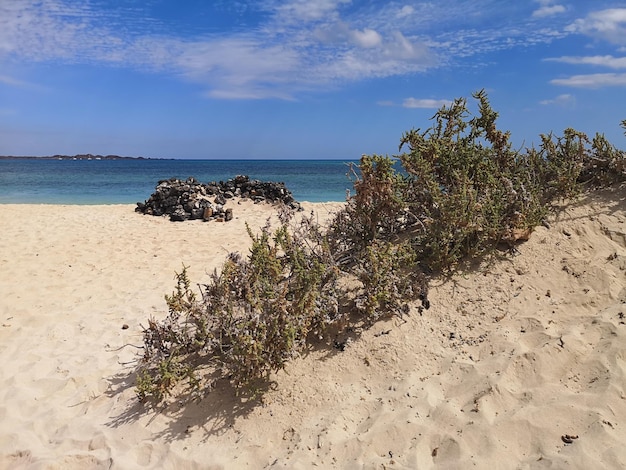 Vista panorámica del mar contra el cielo