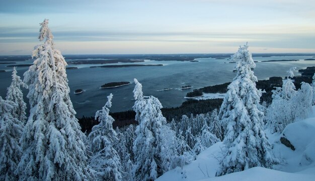 Foto vista panorámica del mar cubierto de nieve contra el cielo