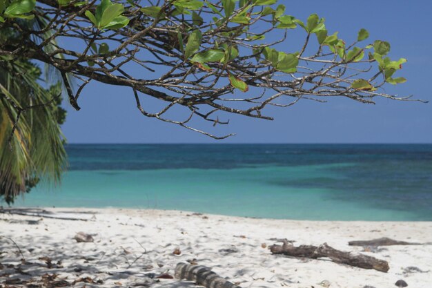 Foto vista panorámica del mar frente a un cielo despejado