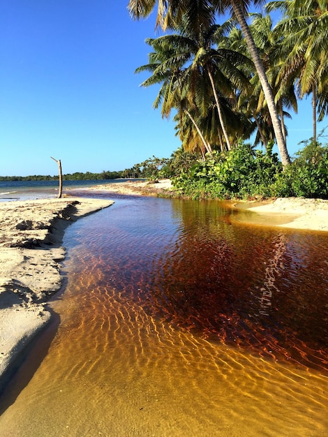 Foto vista panorámica del mar tranquilo contra el cielo despejado