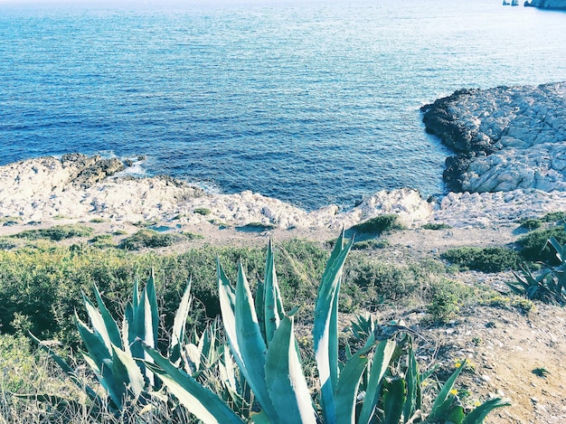 Vista panorámica del mar