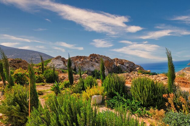 Vista panorámica del mar