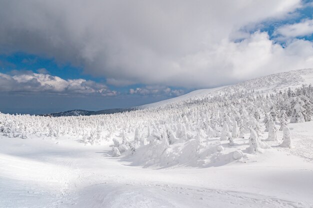 Vista panorámica del monstruo de nieve en Mt.Zao
