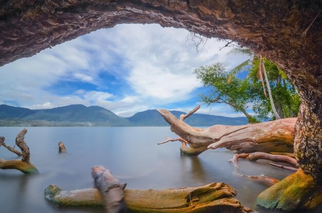 Vista panorámica de la montaña y el lago con el árbol de la muerte en primer plano