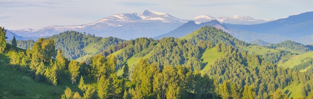 Vista panorámica de la montaña en la mañana de primavera