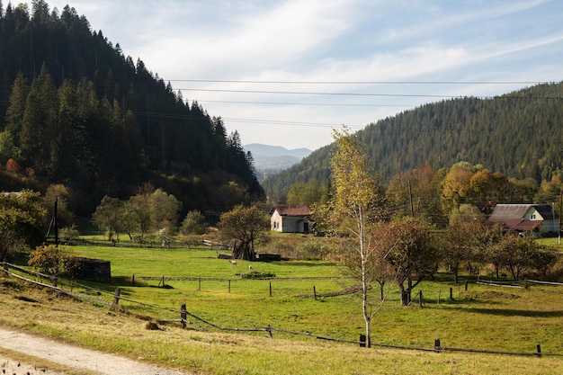 Vista panorámica desde la montaña a un pequeño asentamiento rural entre campos y bosques al atardecer en verano.