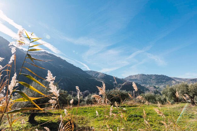 Vista panorámica de la montaña en la ruta del río Monachil en Los Cahorros Granada España