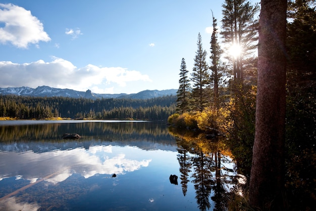 Vista panorámica de la montaña de Sierra Nevada. paisaje de follaje de otoño. California, EE.UU.