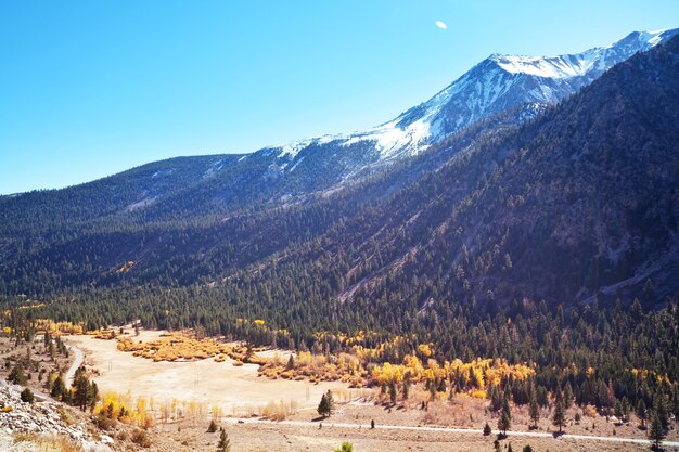 Vista panorámica de la montaña de Sierra Nevada. paisaje de follaje de otoño. California, EE.UU.