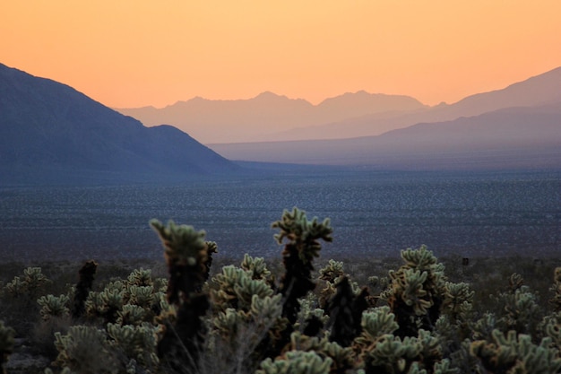 Vista panorámica de las montañas y el campo en tiempo de niebla durante la puesta de sol