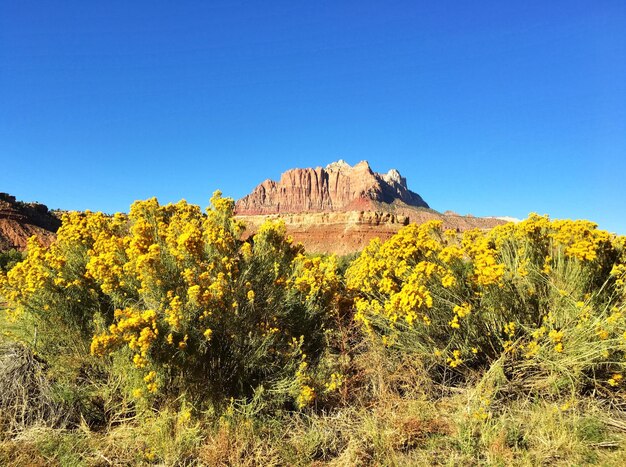 Foto vista panorámica de las montañas contra un cielo azul despejado