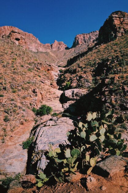 Vista panorámica de las montañas contra un cielo despejado