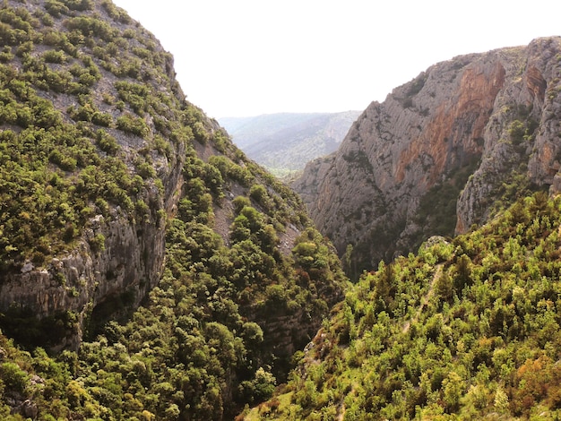 Foto vista panorámica de las montañas contra un cielo despejado