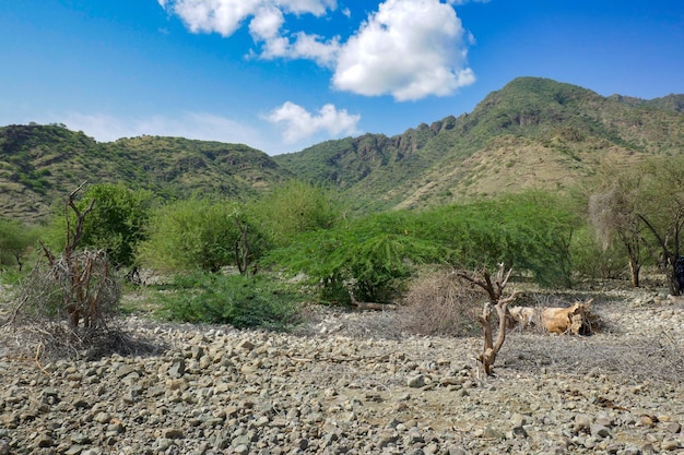 Vista panorámica de las montañas contra el cielo en las orillas del lago Natron en un día soleado en la zona rural de Tanzania