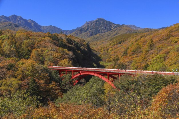 Vista panorámica de las montañas contra el cielo durante el otoño