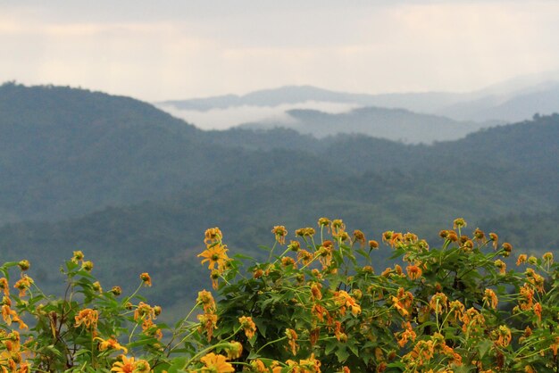 Foto vista panorámica de las montañas contra el cielo