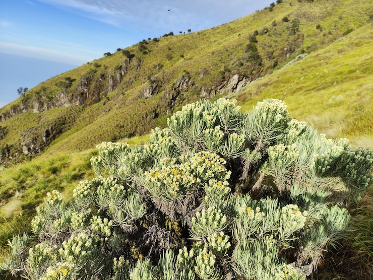 Foto vista panorámica de las montañas contra el cielo