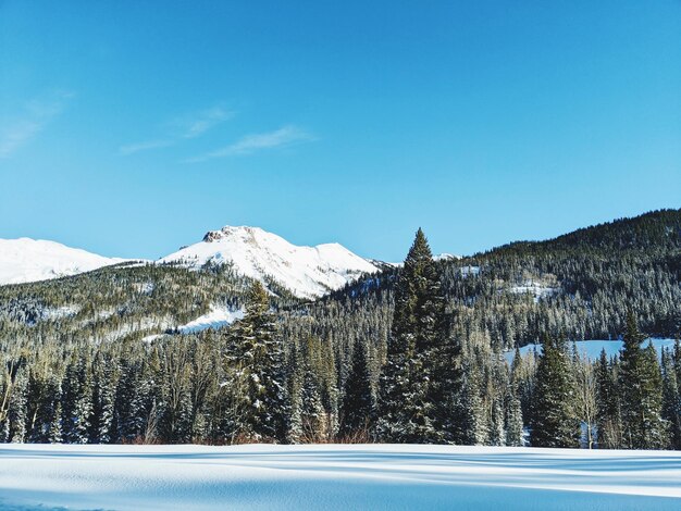 Foto una vista panorámica de las montañas cubiertas de nieve contra un cielo azul claro